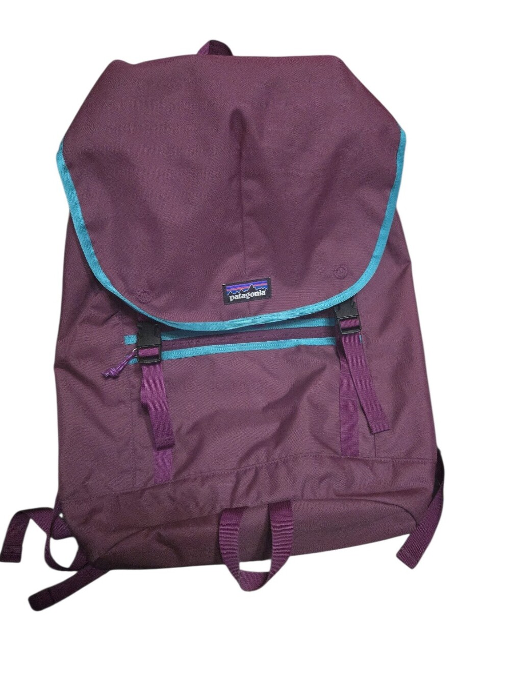 Patagonia Purple Backpack with Teal Trim
